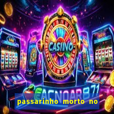 passarinho morto no quintal significado espiritual